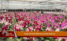 Thanh Hóa ngày mới ngày 23/01/2026