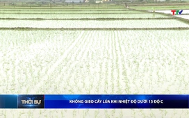 Bản tin Thời sự 16h ngày 23/01/2026