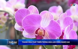 Bản tin Thời sự trưa ngày 23/01/2026