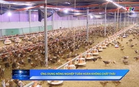 Khoa học và Đời sống ngày 26/01/2026