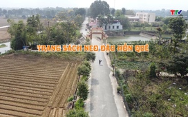 Đất và người Xứ Thanh: Trang sách neo đậu hồn quê