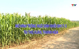 Khuyến nông 27/01/2026