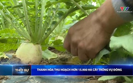 Bản tin Thời sự 16h ngày 28/01/2026