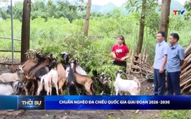 Bản tin Thời sự 16h ngày 03/01/2025