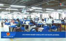 Nhà nước và Pháp luật 29/01/2026