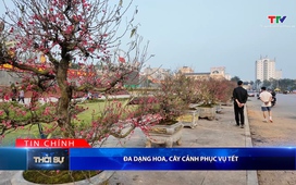 Bản tin Thời sự tối 30/01/2026