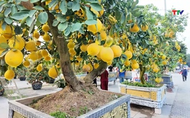 Bản tin Thời sự 9h 31/01/2026