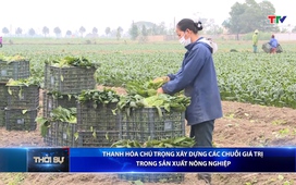 Bản tin Thời sự 9h ngày 04/01/2026