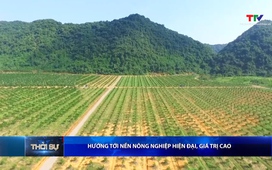 Bản tin Thời sự trưa 04/01/2026