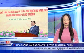 Chính phủ tuần qua ngày 05/01/2026