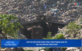 Hộp thư truyền hình ngày 05/01/2026