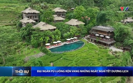 Bản tin Thời sự trưa 06/01/2026