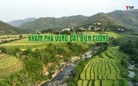 Thanh Hóa - Đi để yêu ngày 07/01/2026