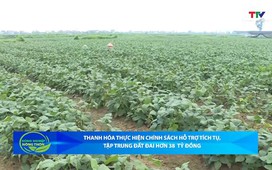 Bản tin Nông nghiệp - Nông thôn ngày 07/01/2026