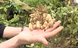 Khuyến nông ngày 09/01/2026