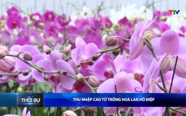 Bản tin Thời sự 16h ngày 01/02/2026