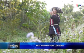 Bản tin Thời sự trưa 01/02/2026