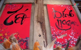 Thanh Hóa đi để yêu ngày 11/02/2026