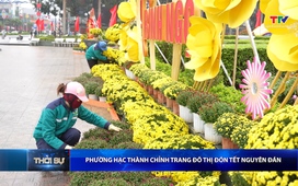 Bản tin Thời sự trưa 12/02/2026