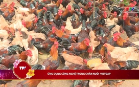 Khoa học và đời sống ngày 15/02/2026