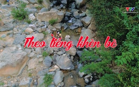 Ký sự miền sơn cước ngày 20/02/2026