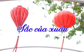  "Ba Đình": Hương – Sắc – Vị (Tập 3): Sắc của xuân