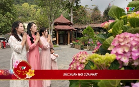 Bản tin Du lịch ngày 19/02/2026