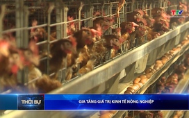 Bản tin Thời sự 9h ngày 22/02/2026