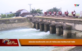 Thanh Hóa ngày mới ngày 22/02/2026