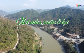 Ký sự: Nơi mùa xuân ở lại