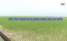 Khuyến nông 24/02/2026