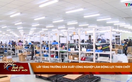 Thanh Hóa ngày mới 4/02/2026