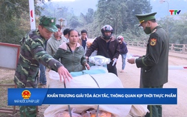 Nhà nước và Pháp luật 05/02/2026