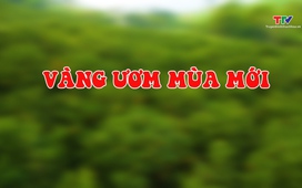 Sắc màu các dân tộc xứ Thanh: Vàng ươm mùa mới