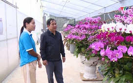 Bản tin Nông nghiệp – Nông thôn 07/02/2026