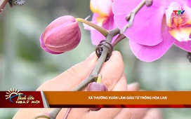 Thanh Hóa ngày mới ngày 08/02/2026