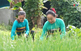 Chuyên mục Dân tộc miền núi ngày 08/02/2026