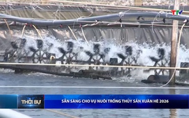 Bản tin Thời sự 14h ngày 01/03/2026