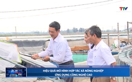 Bản tin Dòng chảy kinh tế ngày 11/03/2026