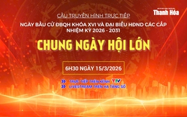 Cầu truyền hình trực tiếp: Ngày bầu cử ĐBQH khóa XVI và đại biểu HĐND các cấp, nhiệm kỳ 2026 - 2031