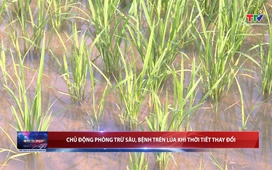 Bản tin Thời sự 18h ngày 17/03/2026