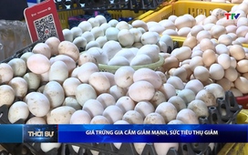 Bản tin Thời sự 16h ngày 17/03/2026