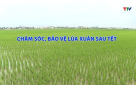 Khuyến nông ngày 03/03/2026