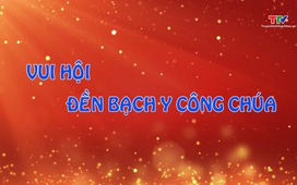 Ký sự miền sơn cước 20/3/2026