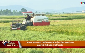 Thanh Hóa ngày mới 25/03/2026