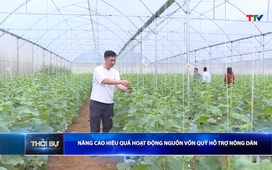 Bản tin Thời sự 16h ngày 25/03/2026