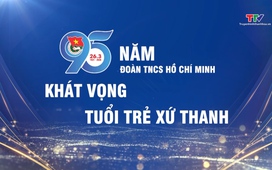 Phóng sự 26/03/2026