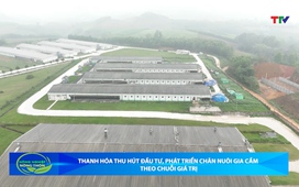 Bản tin Nông nghiệp - Nông thôn ngày 28/03/2026