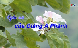 Phóng sự: Giấc mơ của Giàng A Phành