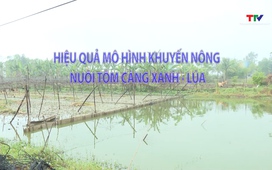 Khuyến nông 31/03/2026